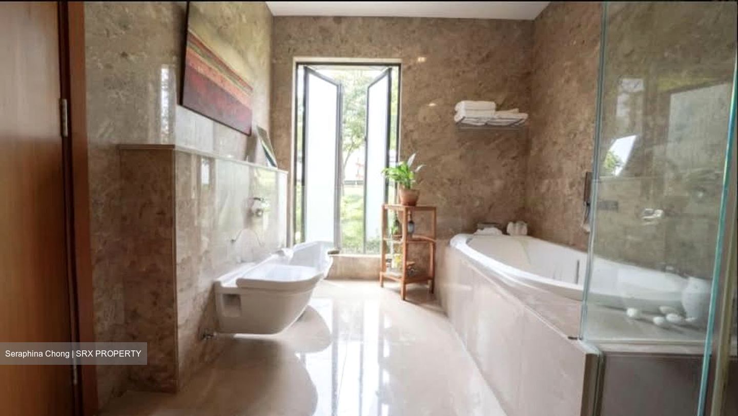 Raffles Park (D11), Detached #558609481